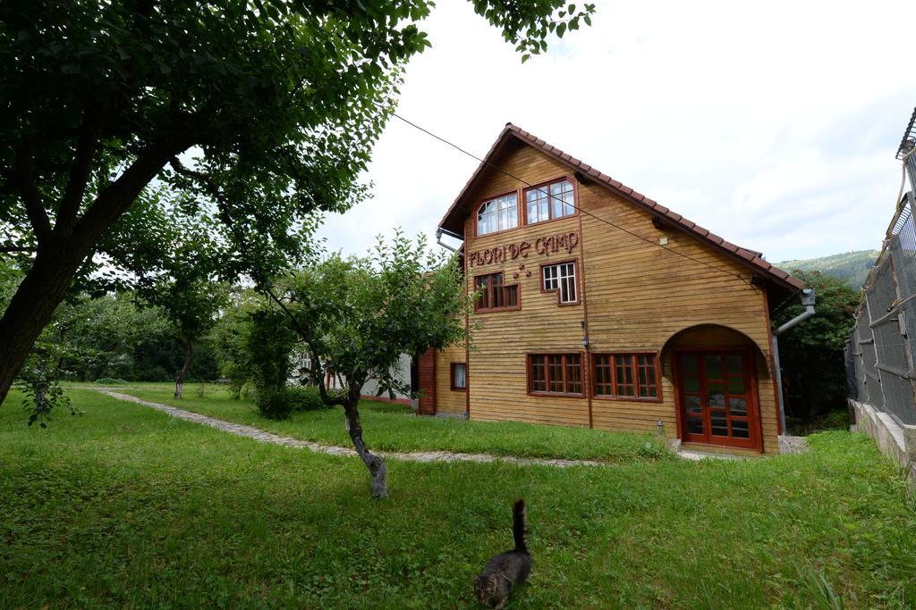 Pensiunea Flori De Camp Vatra Dornei Zewnętrze zdjęcie