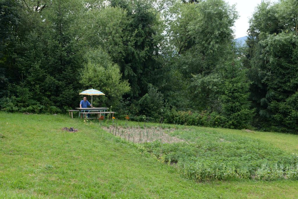 Pensiunea Flori De Camp Vatra Dornei Zewnętrze zdjęcie