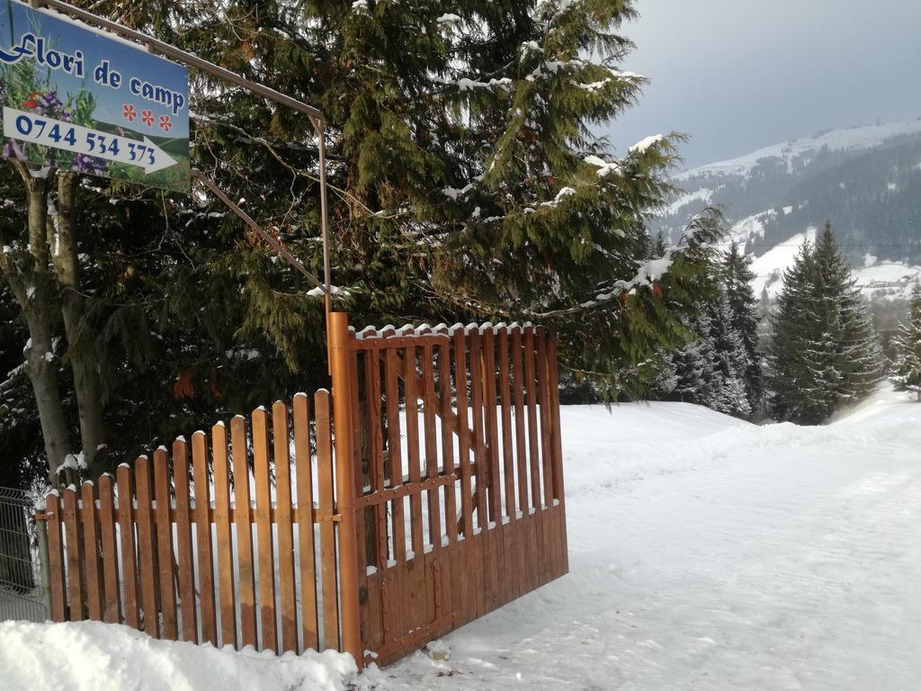 Pensiunea Flori De Camp Vatra Dornei Zewnętrze zdjęcie