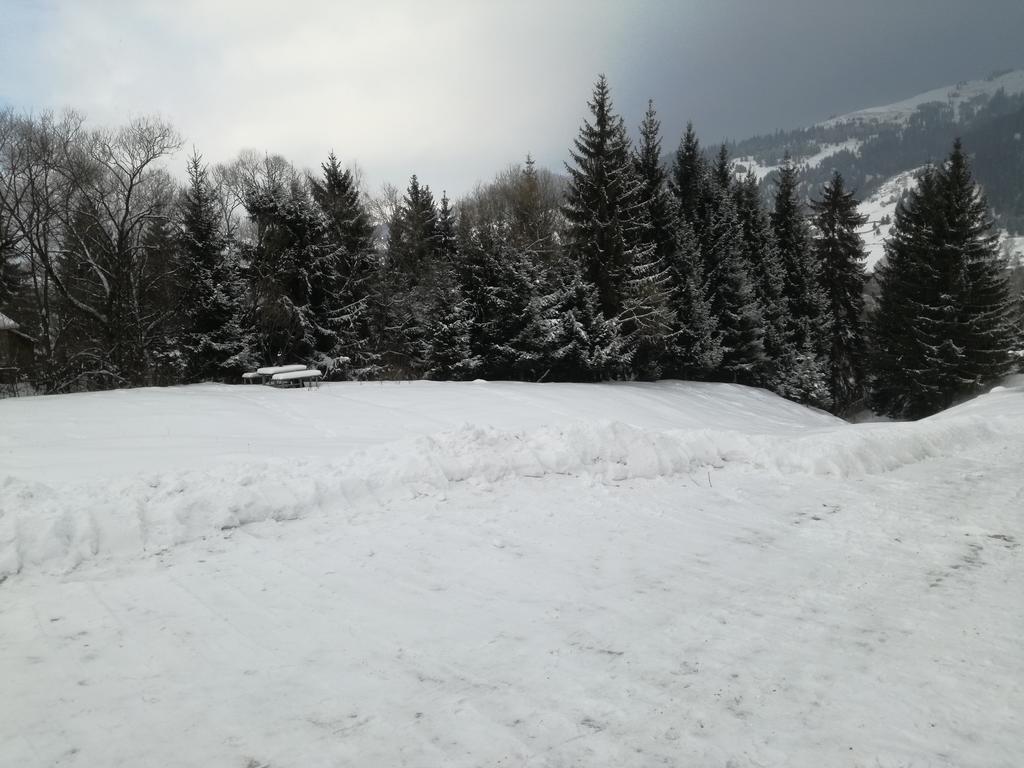 Pensiunea Flori De Camp Vatra Dornei Zewnętrze zdjęcie